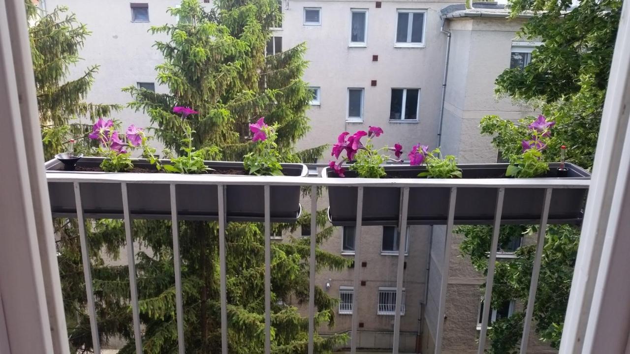 Tisza-Parti Napfeny Apartman Apartment Szeged Exterior photo